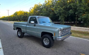 GMC-Other-1979-Standard-Cab-Pickup-23