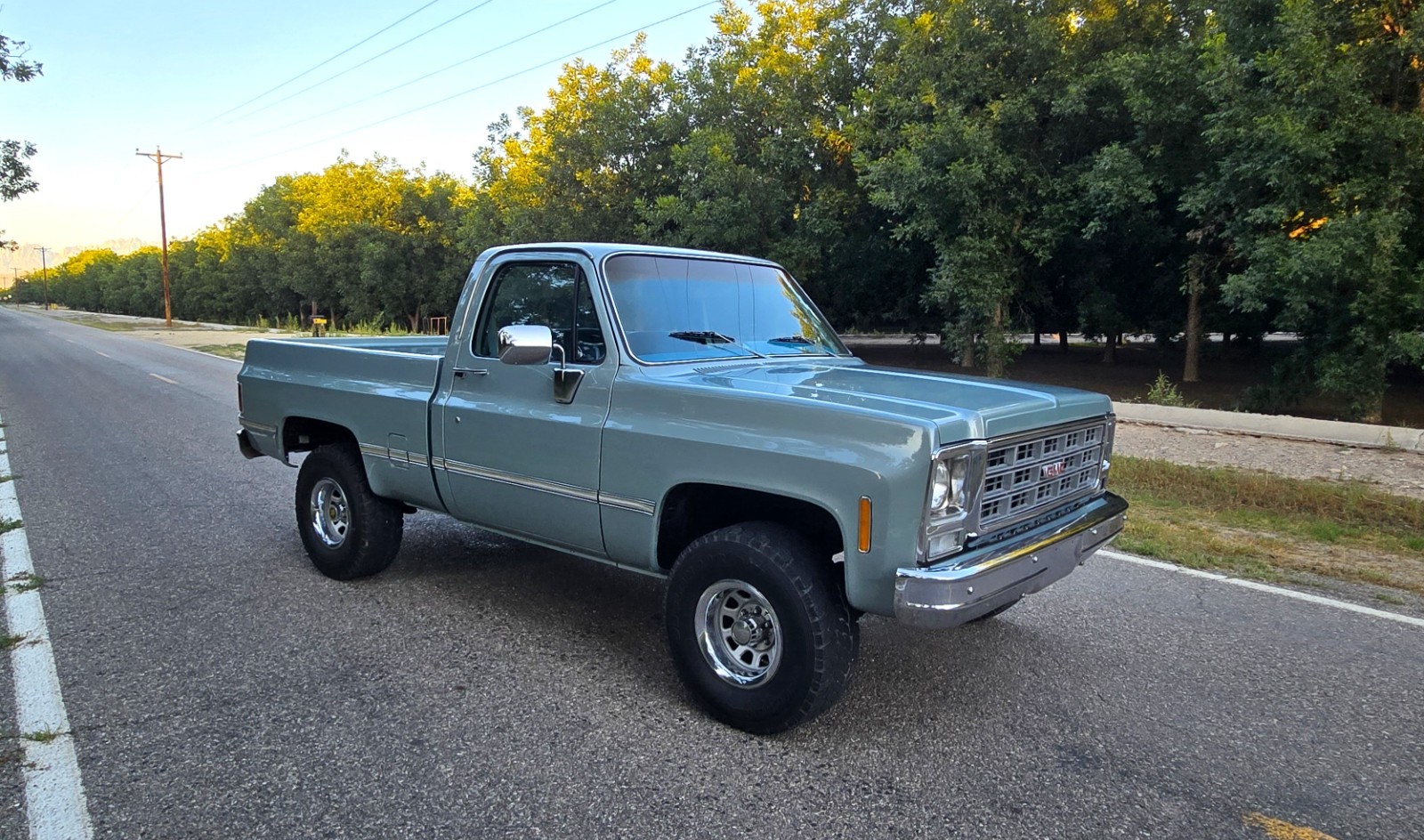 GMC-Other-1979-Standard-Cab-Pickup-23