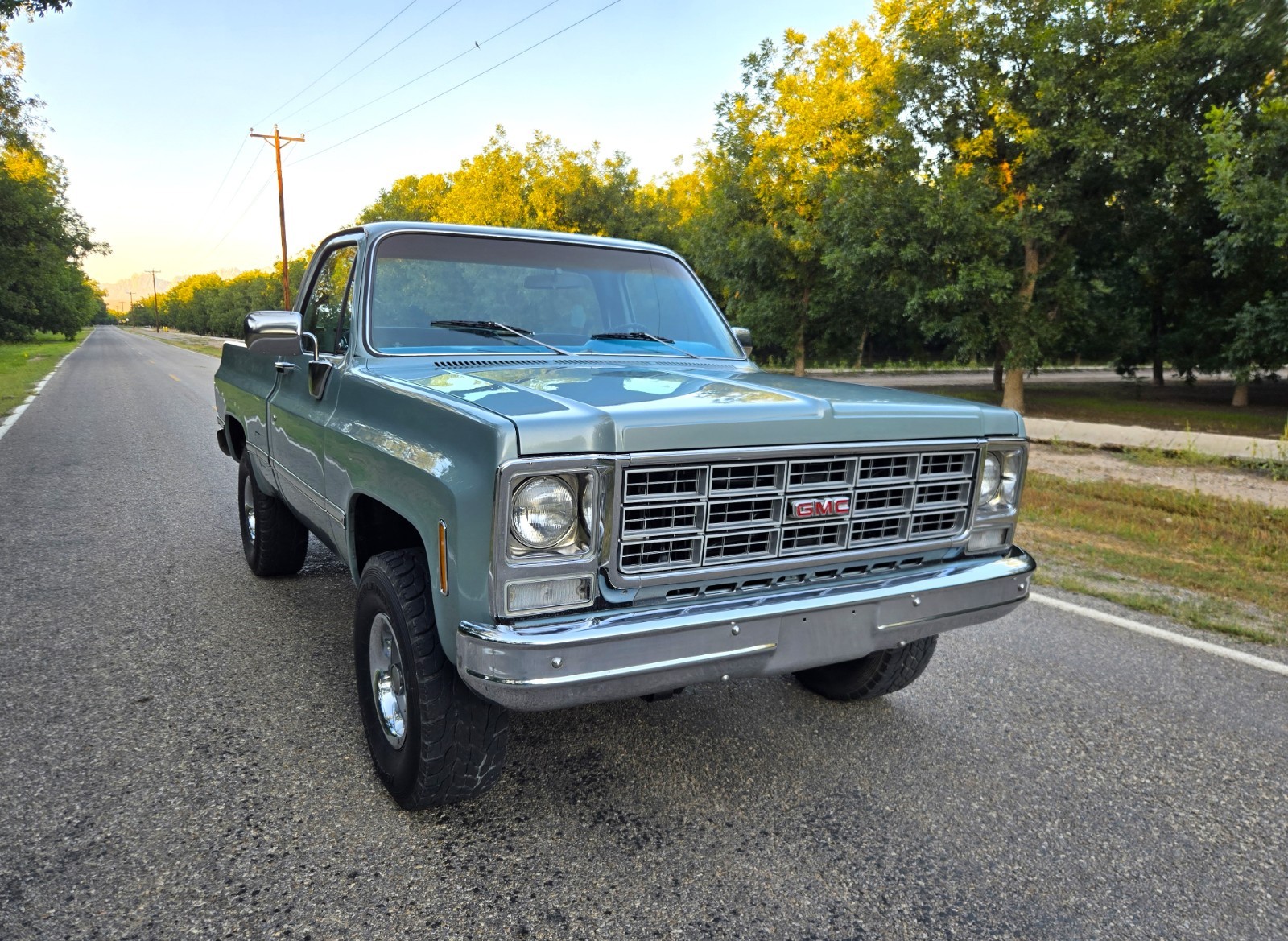 GMC-Other-1979-Standard-Cab-Pickup-3
