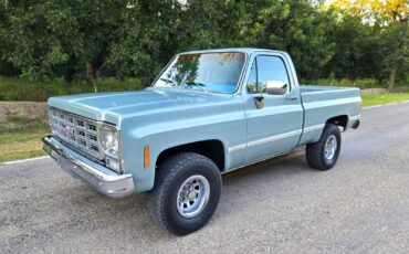 GMC-Other-1979-Standard-Cab-Pickup