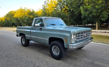 GMC-Other-1979-Standard-Cab-Pickup-4