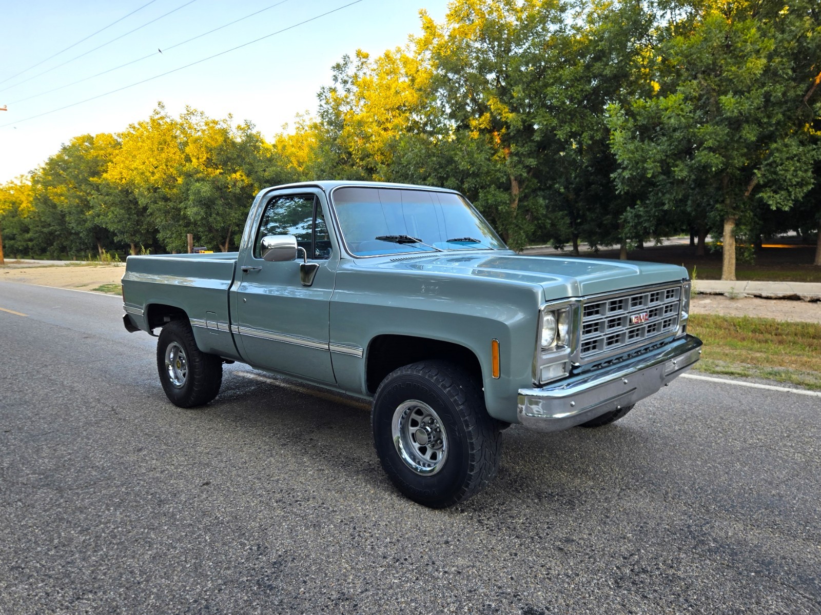 GMC-Other-1979-Standard-Cab-Pickup-4