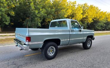 GMC-Other-1979-Standard-Cab-Pickup-6