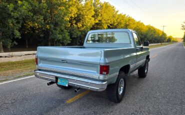 GMC-Other-1979-Standard-Cab-Pickup-7