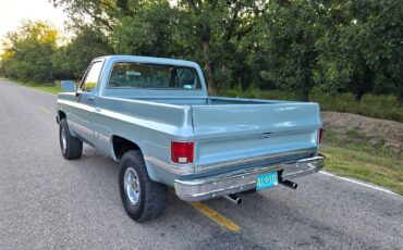 GMC-Other-1979-Standard-Cab-Pickup-9