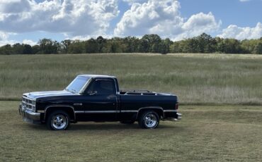 GMC-Sierra-1500-1983-10