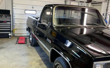 GMC-Sierra-1500-1983-3