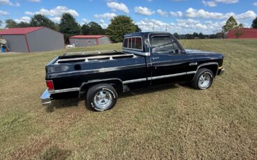 GMC-Sierra-1500-1983-8
