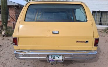 GMC-Suburban-1979-Wagon-34