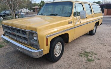 GMC-Suburban-1979-Wagon-7