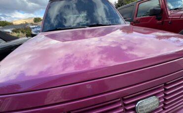 Geo-tracker-1993-purple-16