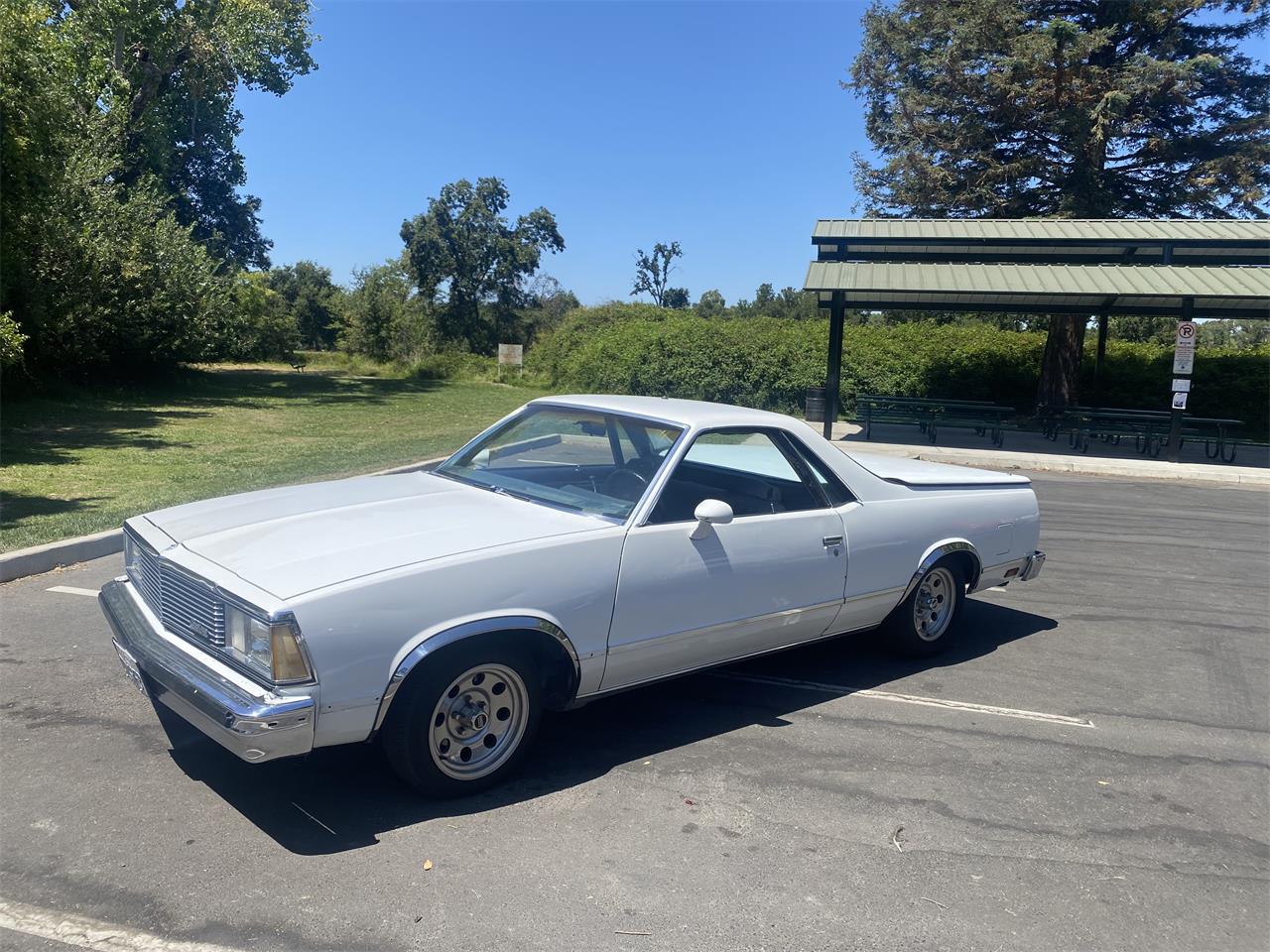 Gmc-Caballero-1981-White-Blue-2