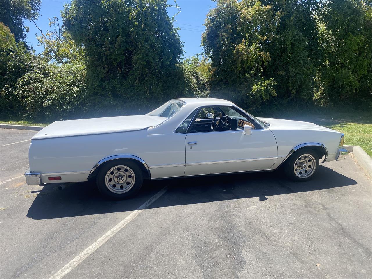 Gmc-Caballero-1981-White-Blue-4