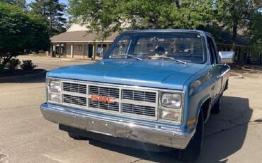 Gmc-sierra-1500-1983-blue-3
