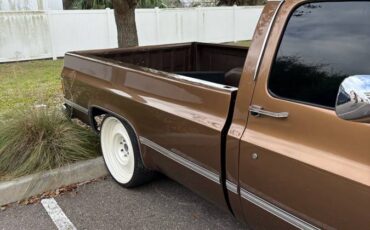 Gmc-sierra-1500-1984-brown-2