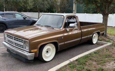 Gmc-sierra-1500-1984-brown-3
