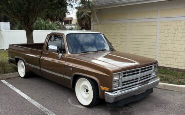 Gmc-sierra-1500-1984-brown