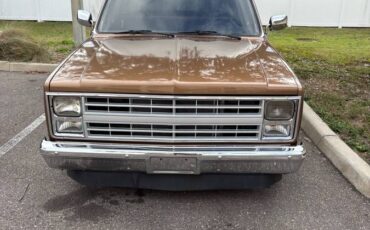 Gmc-sierra-1500-1984-brown-4