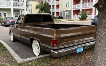 Gmc-sierra-1500-1984-brown-5