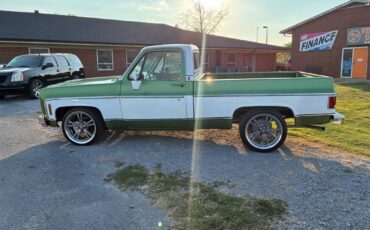 Gmc-sierra-1974-green-3