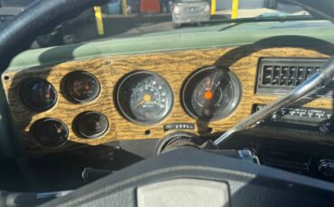 Gmc-sierra-2500-1976-green-14