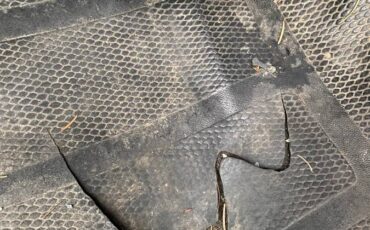 Gmc-sierra-2500hd-1988-green-9