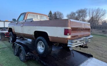 Gmc-sierra-classic-1979-brown-11