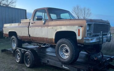 Gmc-sierra-classic-1979-brown-15