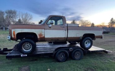 Gmc-sierra-classic-1979-brown-25