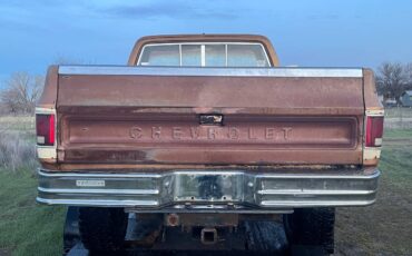 Gmc-sierra-classic-1979-brown-3
