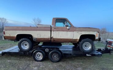 Gmc-sierra-classic-1979-brown-7