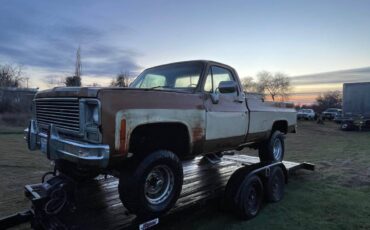Gmc-sierra-classic-1979-brown-8
