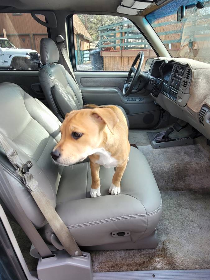 Gmc-suburban-1995-green-8