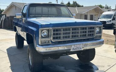Gmc-truck-1979-blue-12