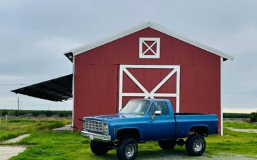 Gmc-truck-1979-blue-5