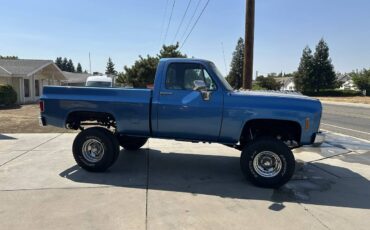 Gmc-truck-1979-blue-6