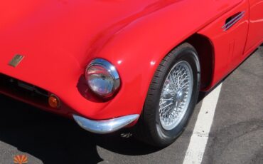 Griffith-400-Series-1966-Coupe-13