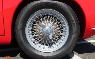 Griffith-400-Series-1966-Coupe-20