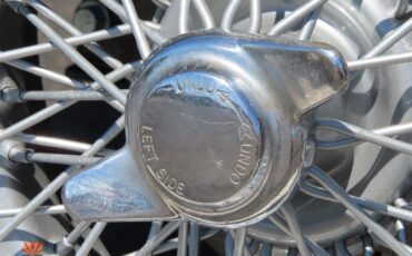 Griffith-400-Series-1966-Coupe-29