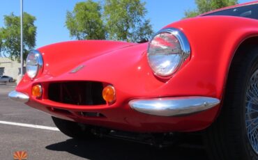 Griffith-400-Series-1966-Coupe-37