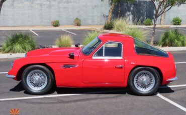 Griffith-400-Series-1966-Coupe-8