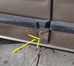 Honda-accord-1986-brown-6