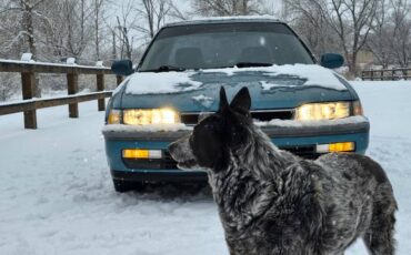 Honda-accord-1991-10