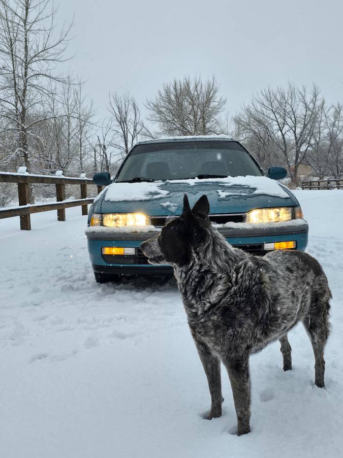 Honda-accord-1991-10