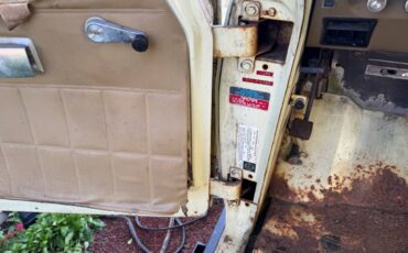 International-1973-white-18