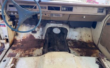 International-1973-white-7