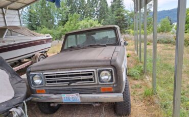 International-1977-brown-1