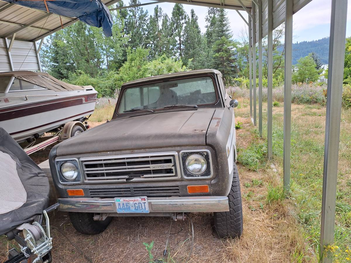 International-1977-brown-1