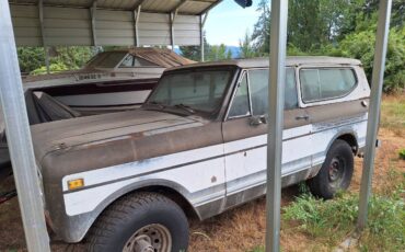 International-1977-brown-2