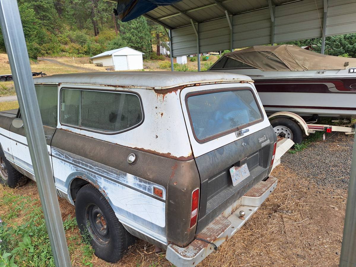 International-1977-brown-3